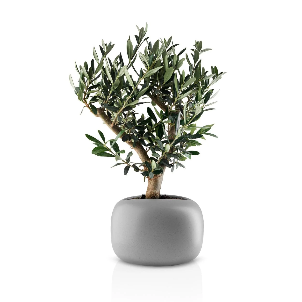 Eva Solo Stone Display Flower Pot - Image 3
