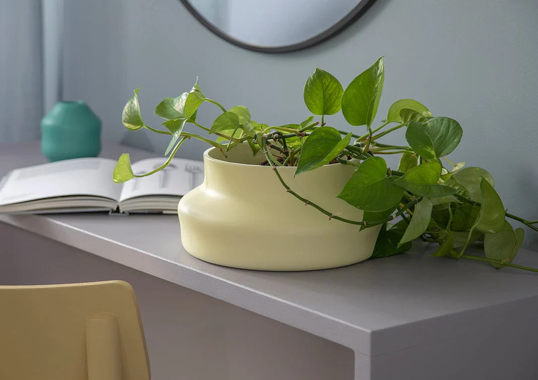 Gense Dorotea Mellow Yellow Vase - Image 8
