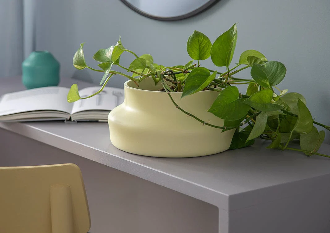 Gense Dorotea Sea Green Vase - Image 4