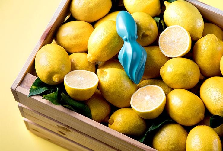 Ototo Citrus Juicer Octopus - Image 3