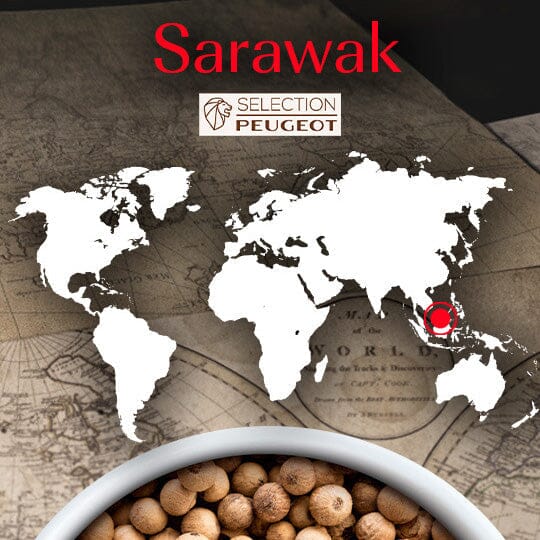 Peugeot Saveurs Classic & Premium Spices - Image 9