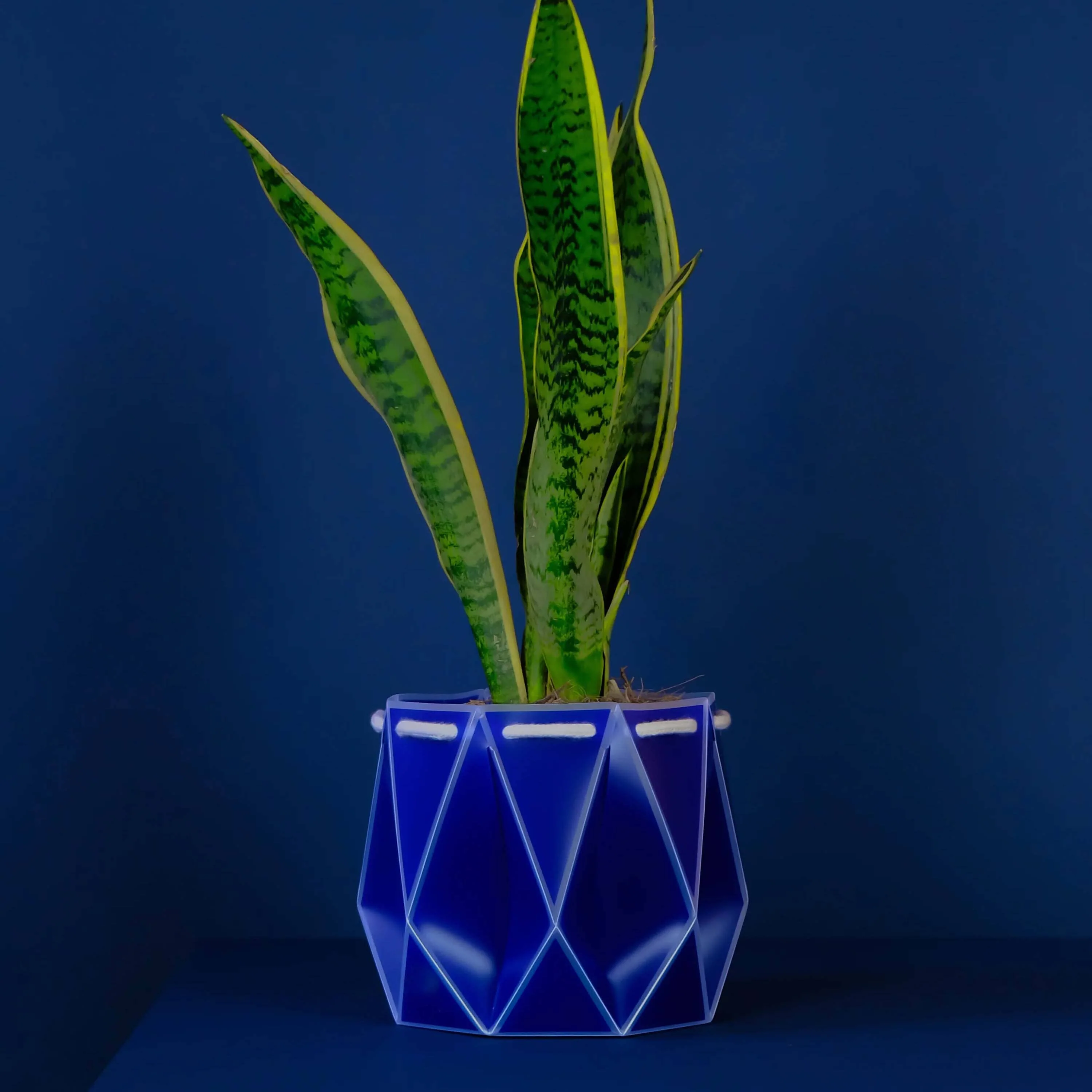 POTR Self-Watering 7" Diameter Pot - Image 3