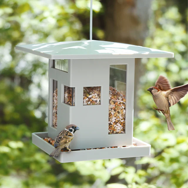 Umbra Bird Cafe - Image 7
